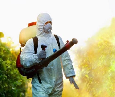 Pest Control Services