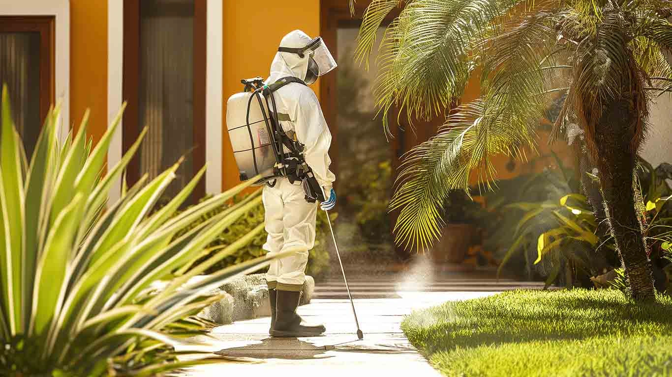 Termite Control Tips