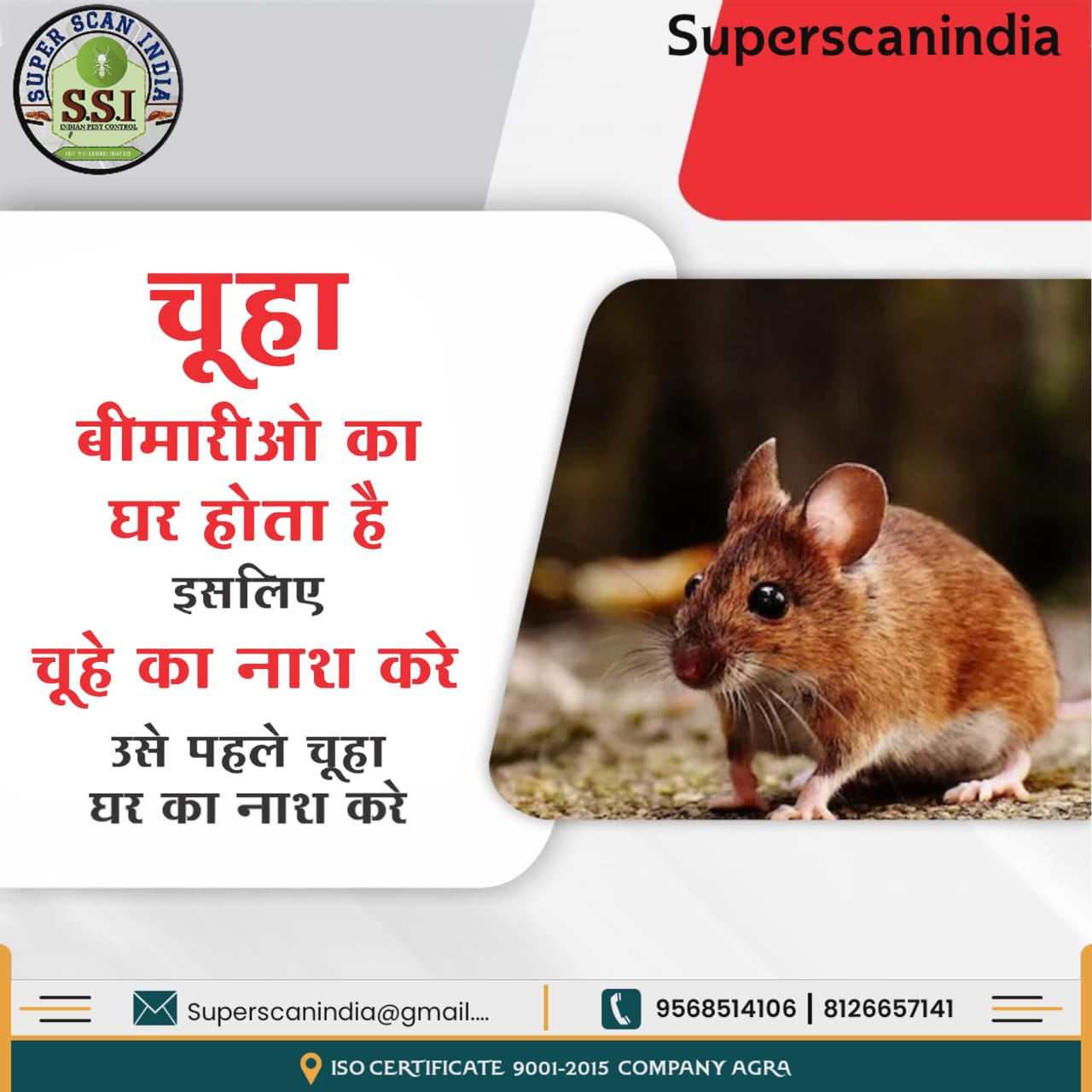 Professional Rodent Control Services