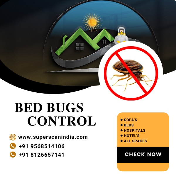 khatmal bed bugs control